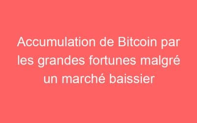 Accumulation de Bitcoin par les grandes fortunes malgré un marché baissier
