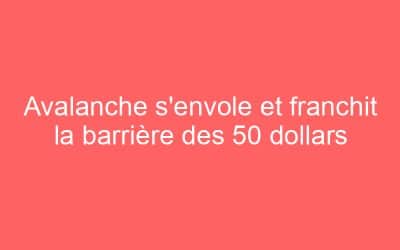 Avalanche s’envole et franchit la barrière des 50 dollars