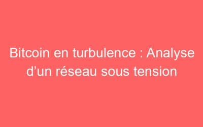 Bitcoin en turbulence : Analyse d’un réseau sous tension
