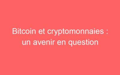 Bitcoin et cryptomonnaies : un avenir en question