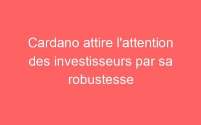 Cardano attire l’attention des investisseurs par sa robustesse