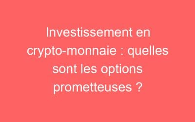 Investissement en crypto-monnaie : quelles sont les options prometteuses ?