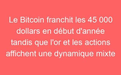 Le Bitcoin franchit les 45 000 dollars en début d’année tandis que l’or et les actions affichent une dynamique mixte