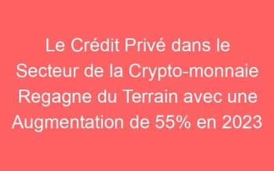 Le Crédit Privé dans le Secteur de la Crypto-monnaie Regagne du Terrain avec une Augmentation de 55% en 2023