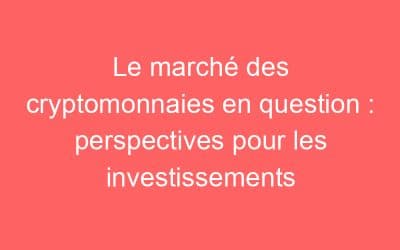 Le marché des cryptomonnaies en question : perspectives pour les investissements