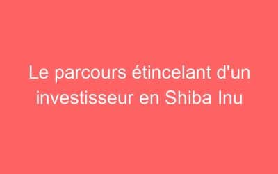 Le parcours étincelant d’un investisseur en Shiba Inu