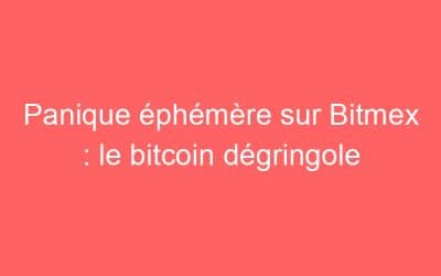 Panique éphémère sur Bitmex : le bitcoin dégringole