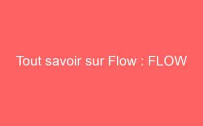 Tout savoir sur Flow : FLOW