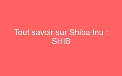 Tout savoir sur Shiba Inu : SHIB