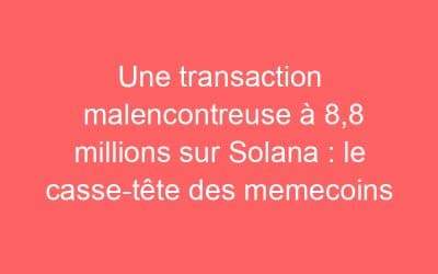 Une transaction malencontreuse à 8,8 millions sur Solana : le casse-tête des memecoins