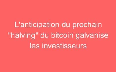L’anticipation du prochain “halving” du bitcoin galvanise les investisseurs