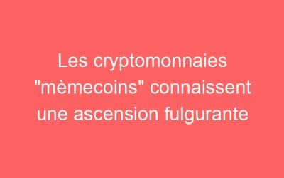 Les cryptomonnaies “mèmecoins” connaissent une ascension fulgurante