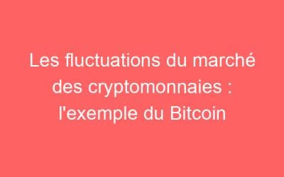 Les fluctuations du marché des cryptomonnaies : l’exemple du Bitcoin