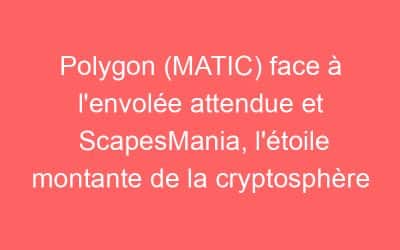 Polygon (MATIC) face à l’envolée attendue et ScapesMania, l’étoile montante de la cryptosphère