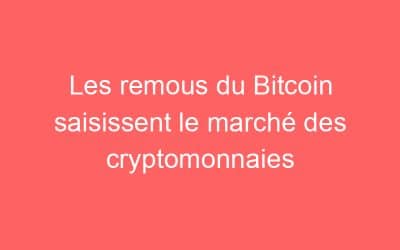 Les remous du Bitcoin saisissent le marché des cryptomonnaies