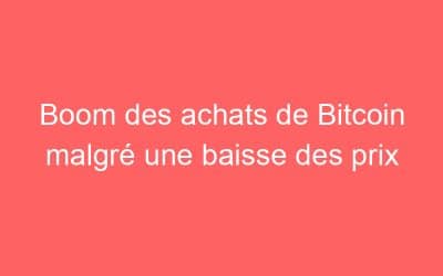 Boom des achats de Bitcoin malgré une baisse des prix