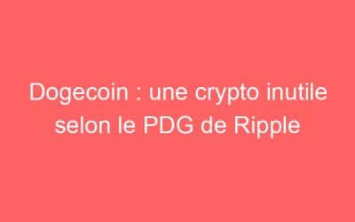 Dogecoin : une crypto inutile selon le PDG de Ripple
