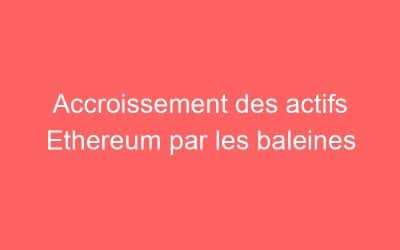 Accroissement des actifs Ethereum par les baleines