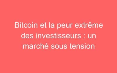 Bitcoin et la peur extrême des investisseurs : un marché sous tension