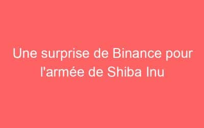 Une surprise de Binance pour l’armée de Shiba Inu