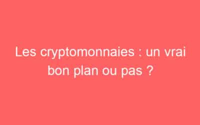 Les cryptomonnaies : un vrai bon plan ou pas ?