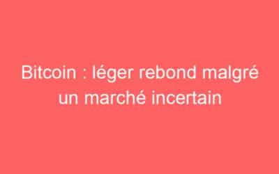 Bitcoin : léger rebond malgré un marché incertain