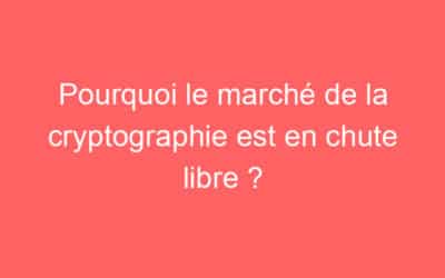 Pourquoi le marché de la cryptographie est en chute libre ?