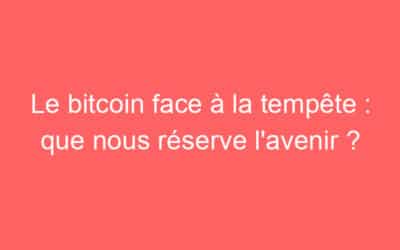 Le bitcoin face à la tempête : que nous réserve l’avenir ?