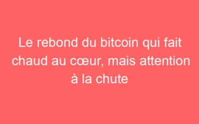 Le rebond du bitcoin qui fait chaud au cœur, mais attention à la chute