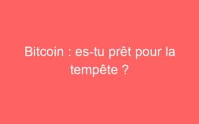 Bitcoin : es-tu prêt pour la tempête ?