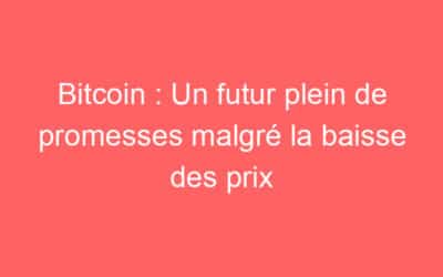 Bitcoin : Un futur plein de promesses malgré la baisse des prix