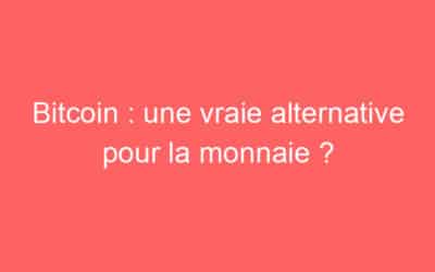 Bitcoin : une vraie alternative pour la monnaie ?