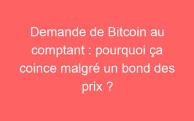 Demande de Bitcoin au comptant : pourquoi ça coince malgré un bond des prix ?