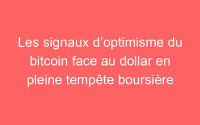 Les signaux d’optimisme du bitcoin face au dollar en pleine tempête boursière