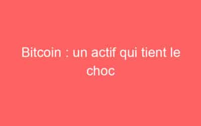 Bitcoin : un actif qui tient le choc