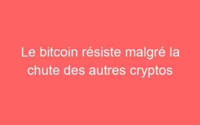 Le bitcoin résiste malgré la chute des autres cryptos