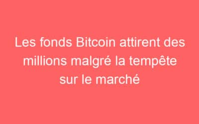 Les fonds Bitcoin attirent des millions malgré la tempête sur le marché