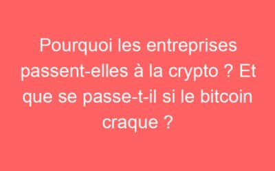Pourquoi les entreprises passent-elles à la crypto ? Et que se passe-t-il si le bitcoin craque ?